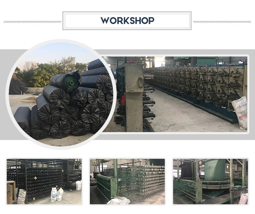 Επικυρωμένο υφαμένο υφαμένο PP Geotextile σταθεροποίησης υφάσματος για την εδαφολογική ενίσχυση