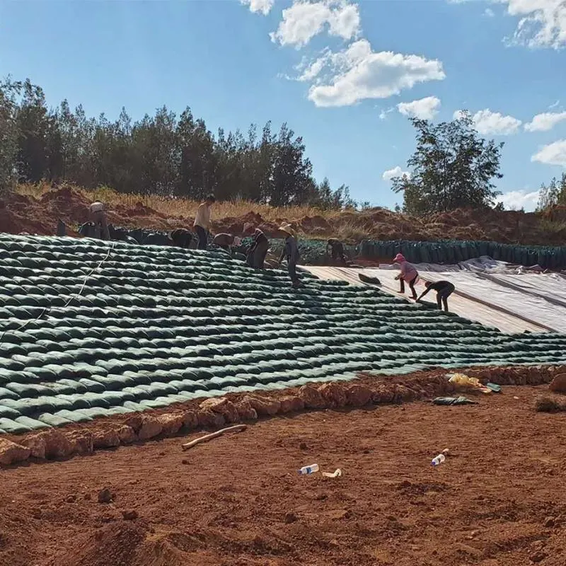 ISO9001 / ISO14001 PET μη υφασμένο υλικό Geobag για την καταπολέμηση των πλημμυρών 2
