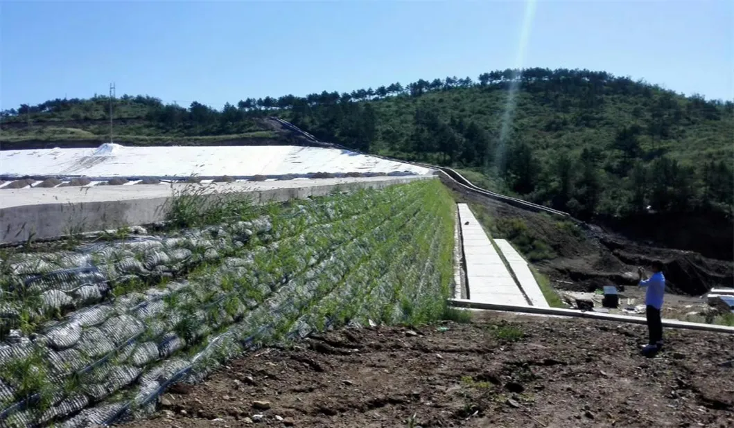 PP πλαστικό PE μονόδρομος μονοάξονας πολυεστέρας γεωγραμμή εδαφικού σταθεροποιητή για την ενίσχυση του εδάφους 13