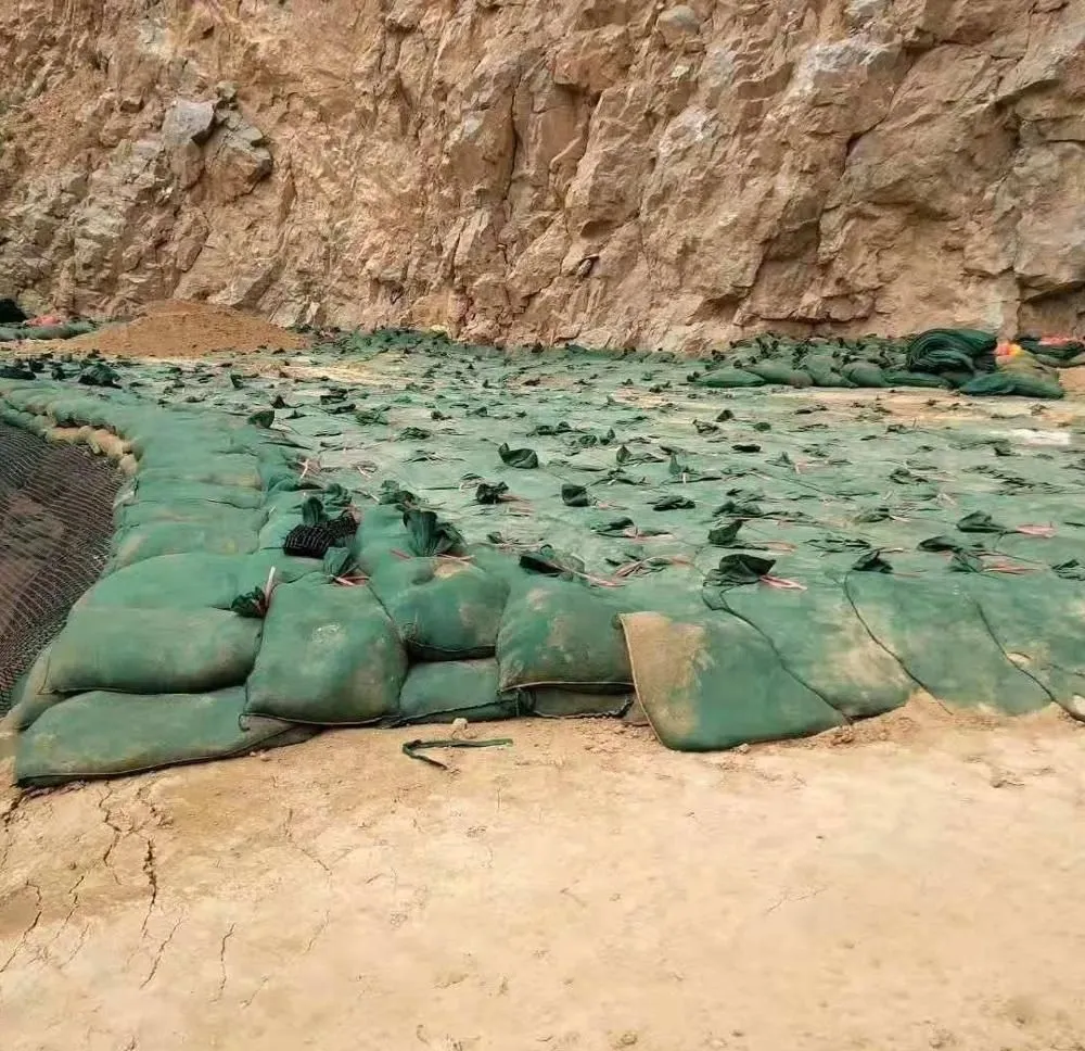 Βιομηχανικό γεωύφασμα Geobag 40*80cm για προστασία πρανών αυτοκινητοδρόμων, φύτευση χόρτου και έλεγχο πλημμυρών 6