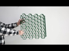 Δίκτυο γρασίδι