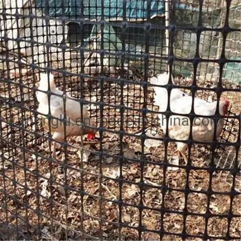 Υψηλής αντοχής πολυεστέρας Geogrid για τη βασική ενίσχυση αναχωμάτων και τοίχων εδαφολογικών κλίσεων