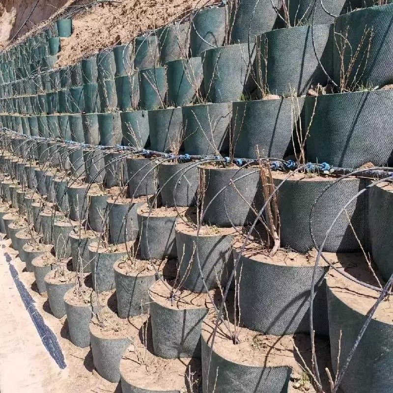 Ανθεκτικό στη διάβρωση HDPE πλαστικό γεωκύτταρο για το έδαφος που χρησιμοποιείται στην οδική κατασκευή