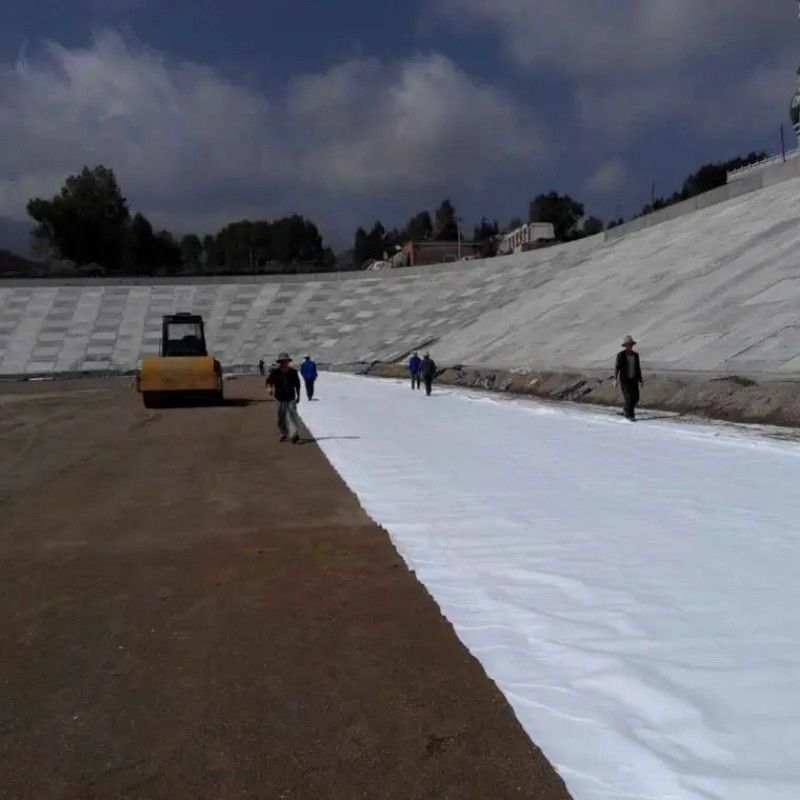 Γεωτεξτύλιο Γεωτεξτύλιο Γεωφαντουργικό Ανθεκτικό στις ακτινοβολίες UV Πολυέστερ Σύντομη / Στάπλ βελόνα τρυπημένη Μη υφασμένο Γεωτεξτύλιο