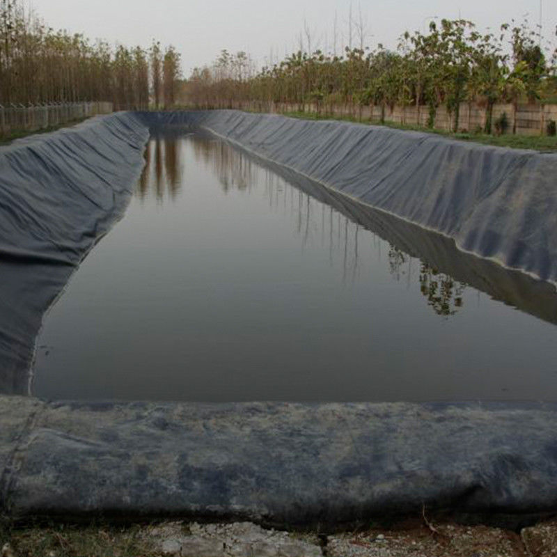 100% παρθένο υλικό ASTM Standard GM13 HDPE Geomembrane Liner 0.3mm 0.5mm 1.0mm 1.5mm 2.0mm Για χωματερή / λίμνη γαρίδας