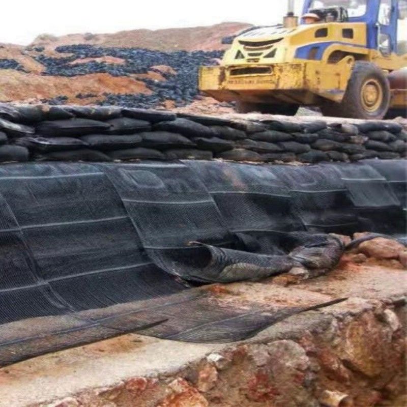 Γεωγραφικό πλέγμα Γεωγραφικό πλέγμα πλαστικού μονοάξονου πολυεστέρου Γεωγραφικό πλέγμα μονοάξονου χωματόστρατου Γεωγραφικό πλέγμα για υπόγειο δρόμου