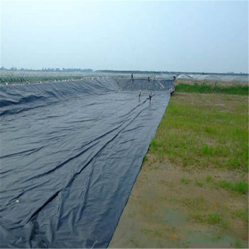 HDPE High Definition Polyethylene Liner Στυλ βιομηχανικού σχεδιασμού για λίμνες ιχθυοκαλλιέργειας και γαρίδας Balck Waterproof